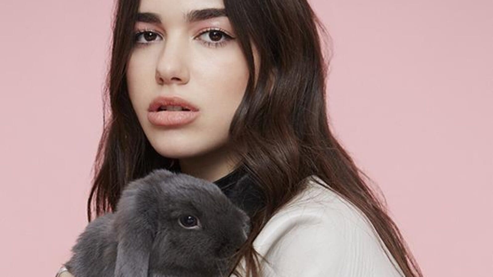 Top 30: Die besten Festivals – Teil IIII (4)