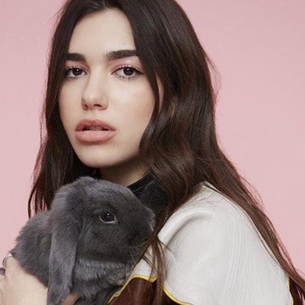 Top 30: Die besten Festivals – Teil IIII (4)