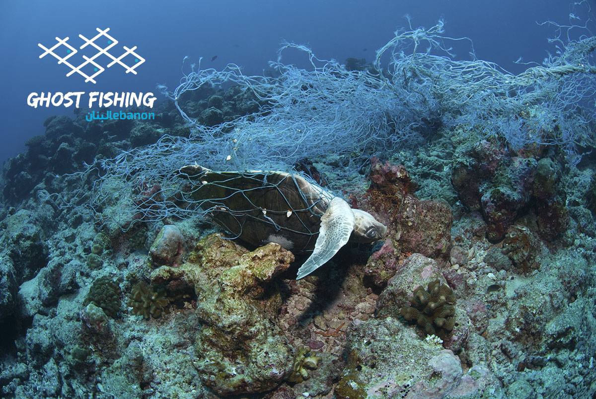 Ghost Fishing Lebanon Turtle