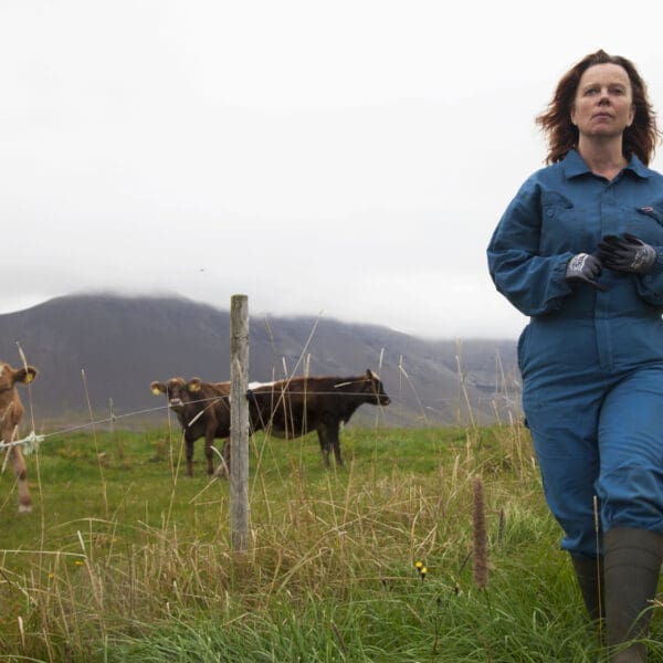 Film Tipps im Januar (2)