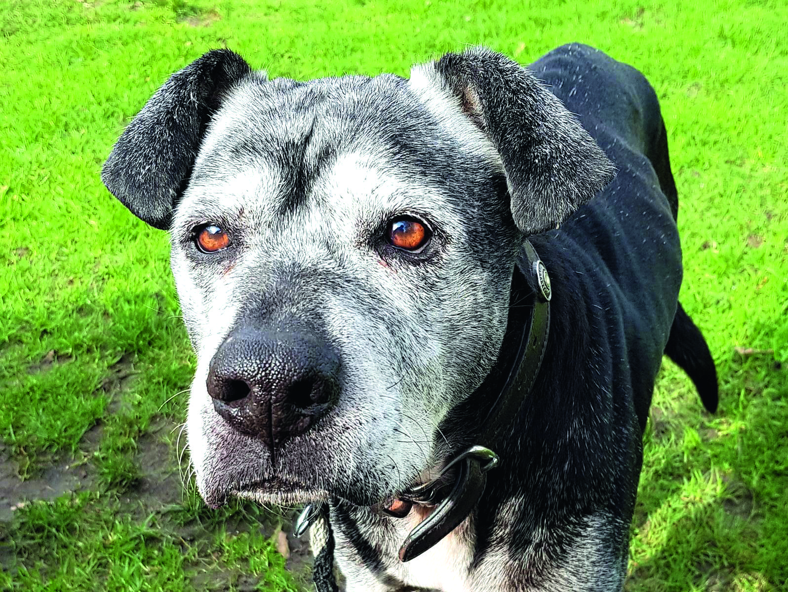 Sheila sucht eine WG