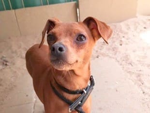 WG gesucht für Lenni