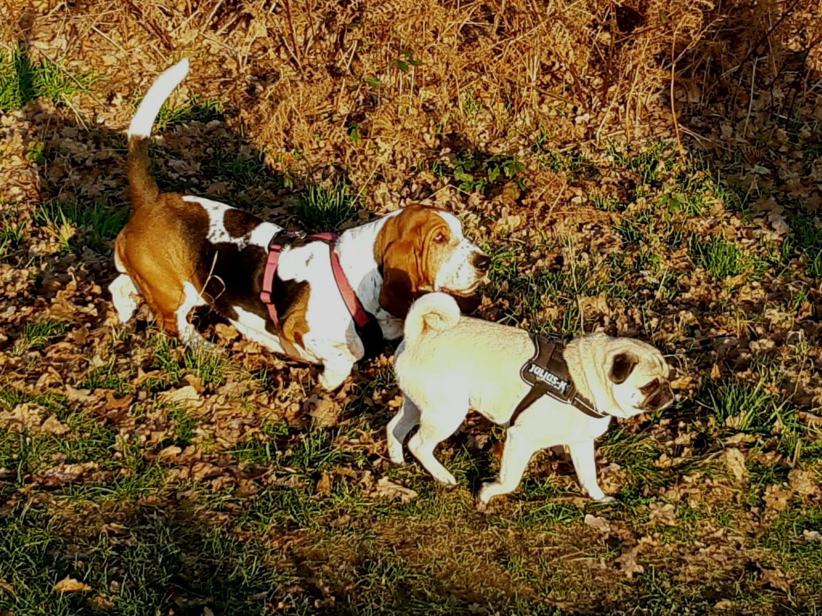 WIR SIND OXMOX: Andreas, Peter, Jule & Frankie