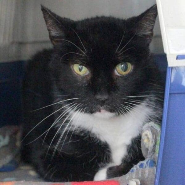 WG gesucht für Frankie-Boy