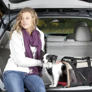 Kurgo_Dog_Carrier__86797.1485880608.1280.1280_800x