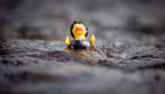 Wacken_2025_Athmo_014