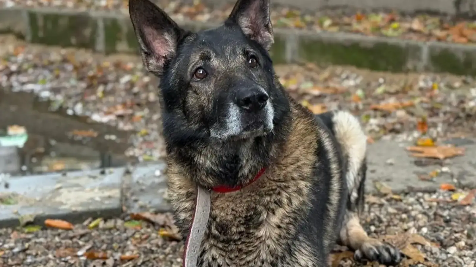 WG gesucht für Lago