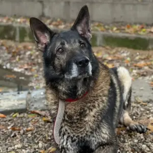 3c1617259c7544f3f83026b4d8365859-1200px