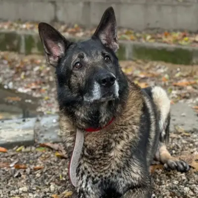 3c1617259c7544f3f83026b4d8365859-1200px