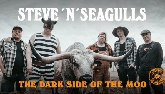 steve-n-seagulls-fb-post-1200x628 (2)