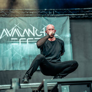Avalanche Effect Elb26