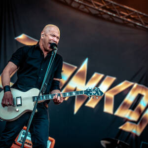 Danko Jones Elb26
