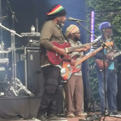 THE WAILERS THE WAILERS